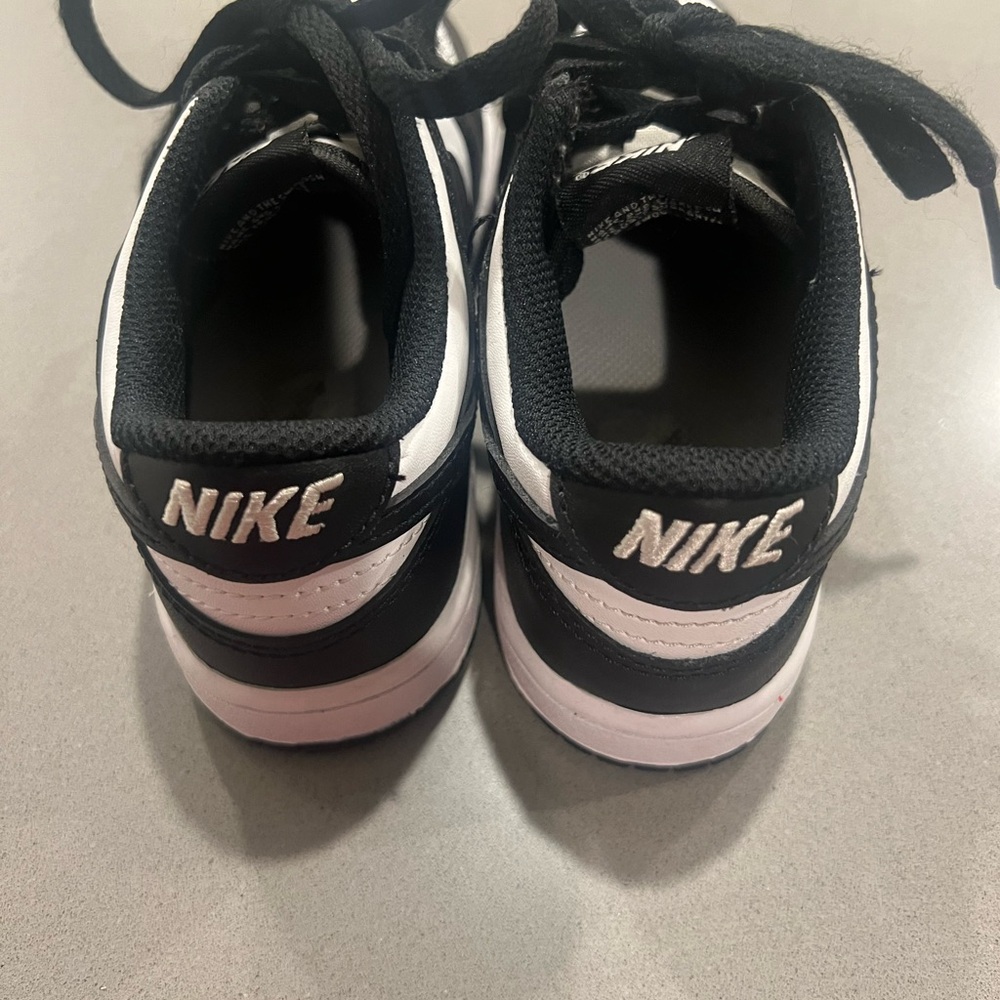 Nike Dunks Toddler Size 11